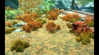 Готика на движке Скайрима #10: Кротокрыс // Gothic in Skyrim Engine #10: Molerat
