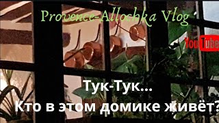 В ожидании Рождества/ Тук-Тук, кто в этом домике живет /provence-allochka vlog