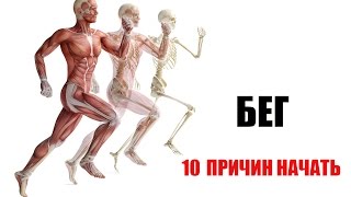 БЕГ. 10 Причин Начать!
