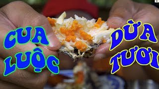 Cua Luộc Dừa Tươi ngon bá cháy bồ chét haha !!