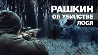 «Произвёл два выстрела в силуэт животного»: депутат Рашкин рассказал об убийстве лося