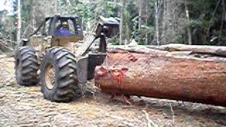 Skidder logging a large tree in a tropical forest, rain forest