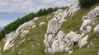 Магия гор.(2011)