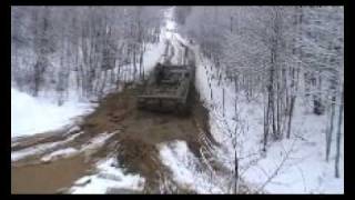 BMP