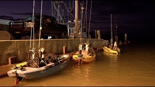 Port O'Connor Texas Kayak Fishing, Alligator Spotted