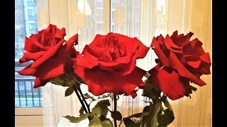 ЛЮБОВНЫЙ ТРЕУГОЛЬНИК.. ВЫ И ВАША СОПЕРНИЦА.. ЕГО МЫСЛИ, ЧУВСТВА, ПЛАНЫ..ПЕРСПЕКТИВЫ ОТНОШЕНИЙ..