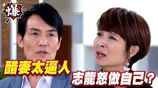 《多情大爆爆》多情城市 EP294 醋妻太逼人 志龍怒做自己？