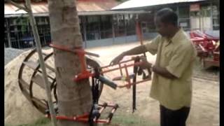 Coconut Tree Climber