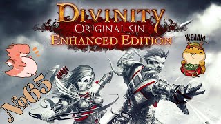 Прохождение Divinity Original Sin Enhanced Edition Серия 65 "Дом мага"