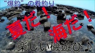 【“爆釣”の肴釣り】磯遊び貝拾い　2017.07.20