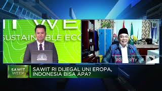 Sawit Direkomendasikan Sebagai Tanaman Hutan, Apa Pentingnya?