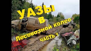 Жесть! Голимая ГЛИНА!