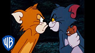 Tom et Jerry en Français | Classiques du dessin animé 32