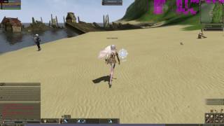 Lineage 2 random gameplay FX 8350 + R9 270 (max settings)