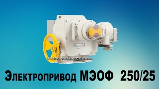 Электропривод МЭОФ  250/25, Компания “ПриборТрейд”, Украина, Россия, Киев, Харьков, Челябинск