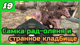 Fallout 4 [Выживание] ➨ Самка рад-оленя. Кладбище. ◄#19► ПРОХОЖДЕНИЕ в 1080/60