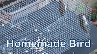 Homemade Bird Trap Making - Overview