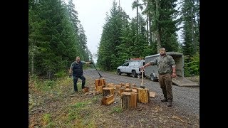 Заготовка дров на зиму / Тяжкий труд :)