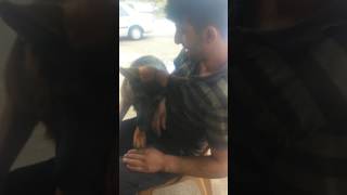 Köpekle öpüşen adam
