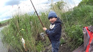 Плотва Красноперка. Рождение нового рыбака. Alex Pro