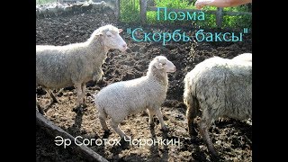 Скорбь баксы. The sorrow of the shaman teller