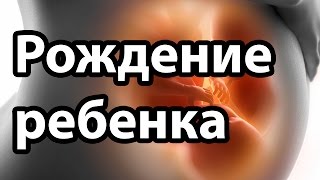 Как рождается ребёнок? | Видео с комментариями эксперта по родам | "До и После Родов"