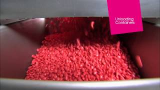 Automatic sugar coating in Dumoulin Equipment LogiX