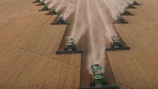 12 комбайнов синхронно собирают зерно.