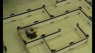 RobertaLAB | Maze Experiment |
