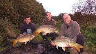 Pêche à la carpe, la magie du berlingau ! L'amorçage la clef du succès  http://lesappats.fr....