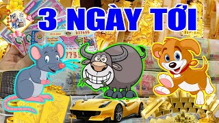 TIẾT LỘ BÍ MẬT, 3 TUỔI NÀY 100% TRÚNG SỐ ĐỘC ĐẮC 1000 TỶ CẦM TAY GIÀU TO NHẤT XÓM VÀO 3 NGÀY TỚI