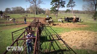 Cowboy Way Ministries - "Bar None" - Episode 18 - "Cattle Drive "