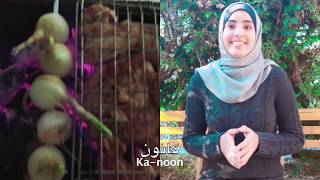 Arabian Meal" Kebab", ??barbecue and related words?? - Palestinian Course