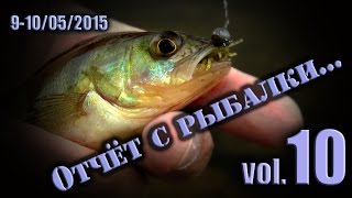 Секреты ловли. Наноджиг и Микроджиг. Обзор спиннинга Aspen Stake. Отчёт с Рыбалки №10.