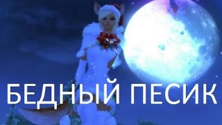 БЕДНЫЙ ПЕСИК в PW (perfect world)