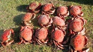 Dillon Beach Crabbing 11_2013