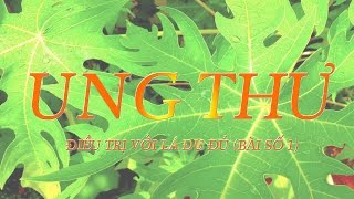 UNG THƯ - ĐIỀU TRỊ BỆNH UNG THƯ, TIỂU ĐƯỜNG VÀ YẾU SINH LÝ VỚI LÁ ĐU ĐỦ