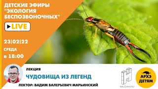 Детский эфир "Чудовища из легенд" курса "Экология беспозвоночных" от Вадима Марьинского