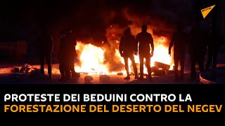 #Israele: proteste dei beduini contro la forestazione del deserto del Negev