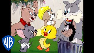 Tom & Jerry in italiano ???????? | Tutti Tranne Tom e Jerry 