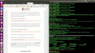Monero client (XMR wallet), патчим xmr-stak - 0 комиссия при майнинге!