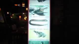 153 Вьетнам Нячанг МЕНЮ КАФЕ: Пиво Самогон Страус Крокодил Nha Trang menu Samogon Ostrich Crocodile