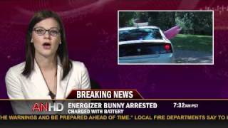Energizer Bunny Arrested, Charged with Battery