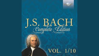 Concerto in D Major for Three Violins, Strings and B.C., BWV 1064: III. Allegro