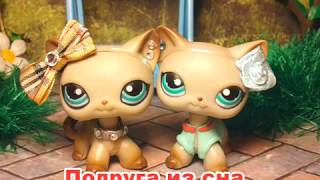 LPS сериал: Подруга из сна ( 1 серия ) /Friend from sleep (episode 1) 猫