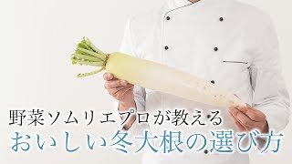野菜ソムリエプロが教える、おいしい冬大根の選び方