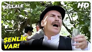 Şellale | Şellale Başında Kavga Var | Tuncel Kurtiz Türk Filmi