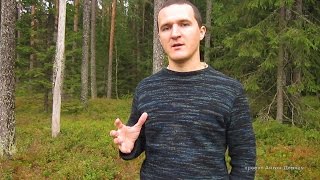Антон Деркач - Сто случаев излечения от рака