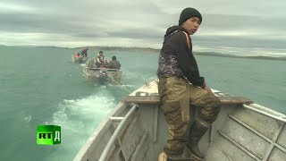 I am Hunter: traditional whaling in Russia's Chukotka Peninsula.
