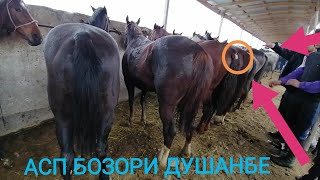 ЛОШАД " АСПХОИ ФУРУШИ МОЛБОЗОРИ ДУШАНБЕ
